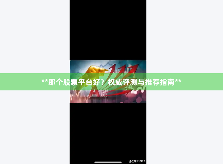**那个股票平台好？权威评测与推荐指南**
